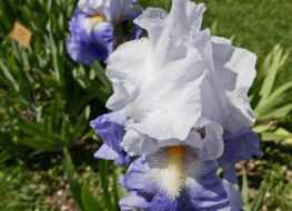 023 - twist of fate 1979